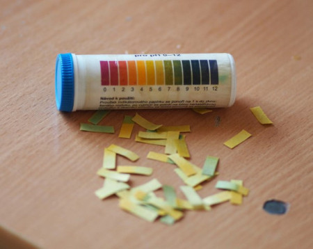 P1010160 (Small).JPG